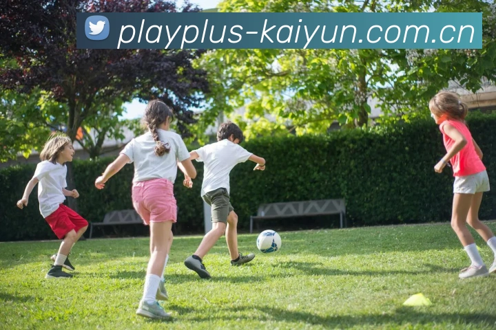 Kaiyun APP界面展示